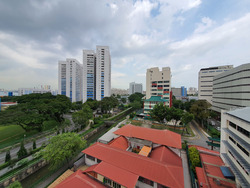 Neem Tree (D12), Apartment #264030161